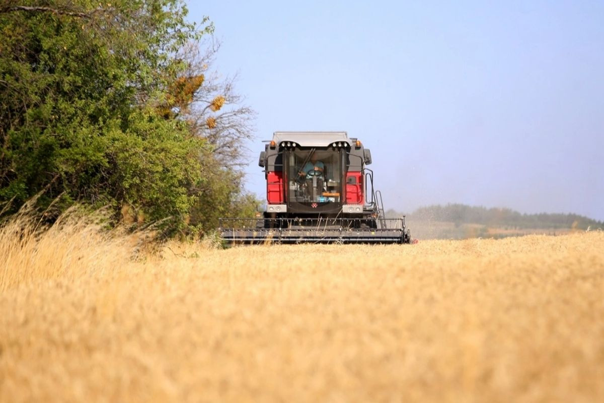 Trakya’da buğday hasadı sona erdi