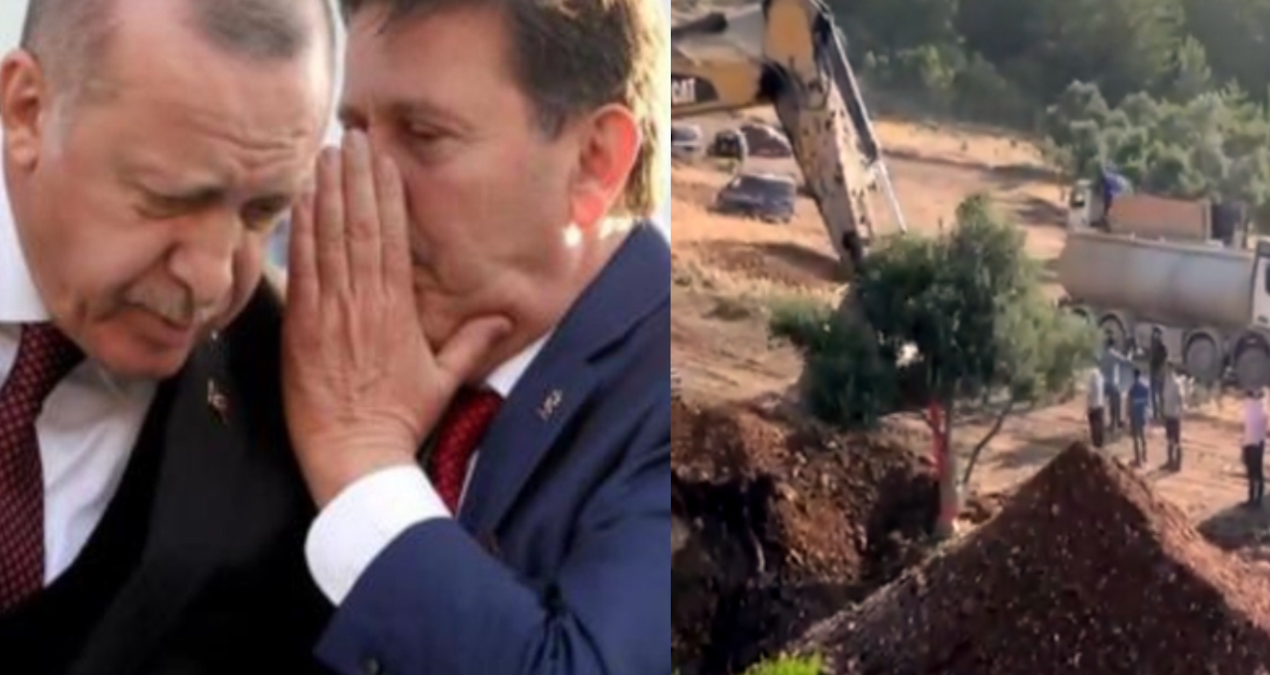 limak zeytin katliaminda akp li is insani ile birlikte j6RZy1eR