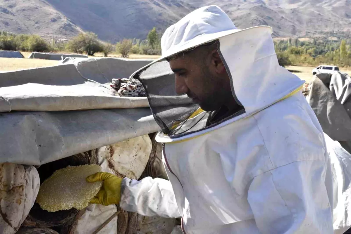 karakovan bali hasadi basladi QENKBCSb.jpg