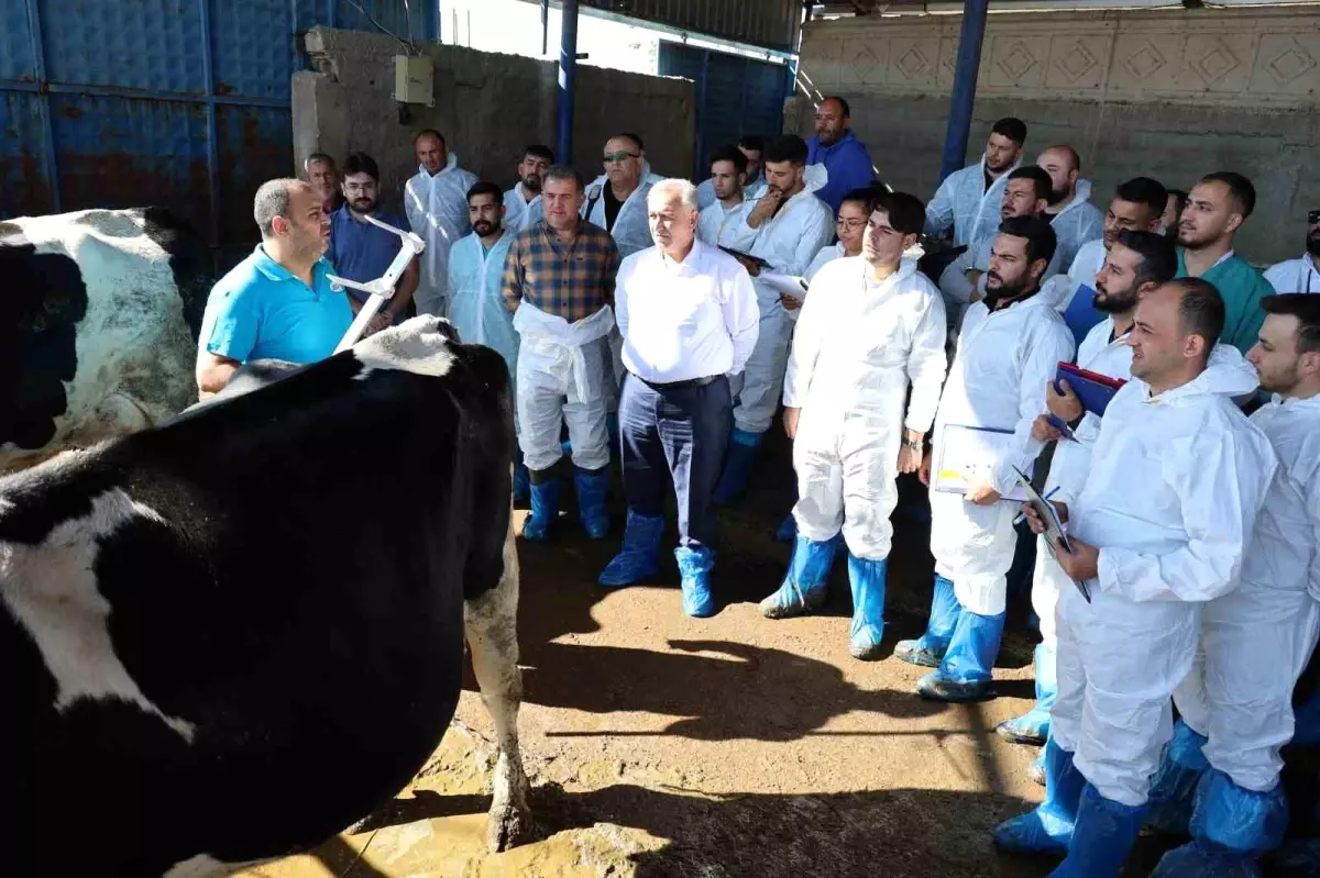 aksarayda sigir egitimi 86GzWlnE.jpg