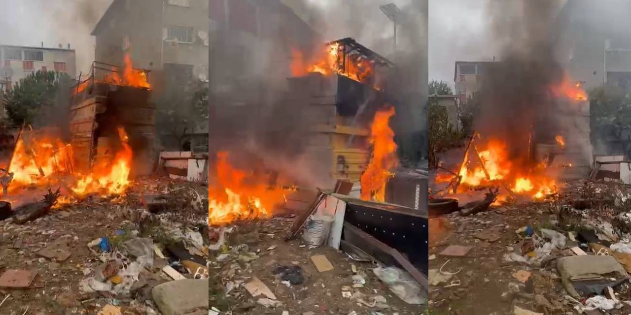 cocuklarin oyunu yangina neden oldu 50 hayvan oldu 7uCbGHl1.jpg