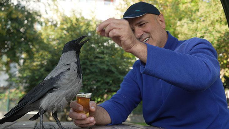 evlat gibi sevdi otobus kaptaninin 25 yildir ayrilmadigi kargasi sakir rize helvasi ve caya bayiliyor CODNIJwI.jpg