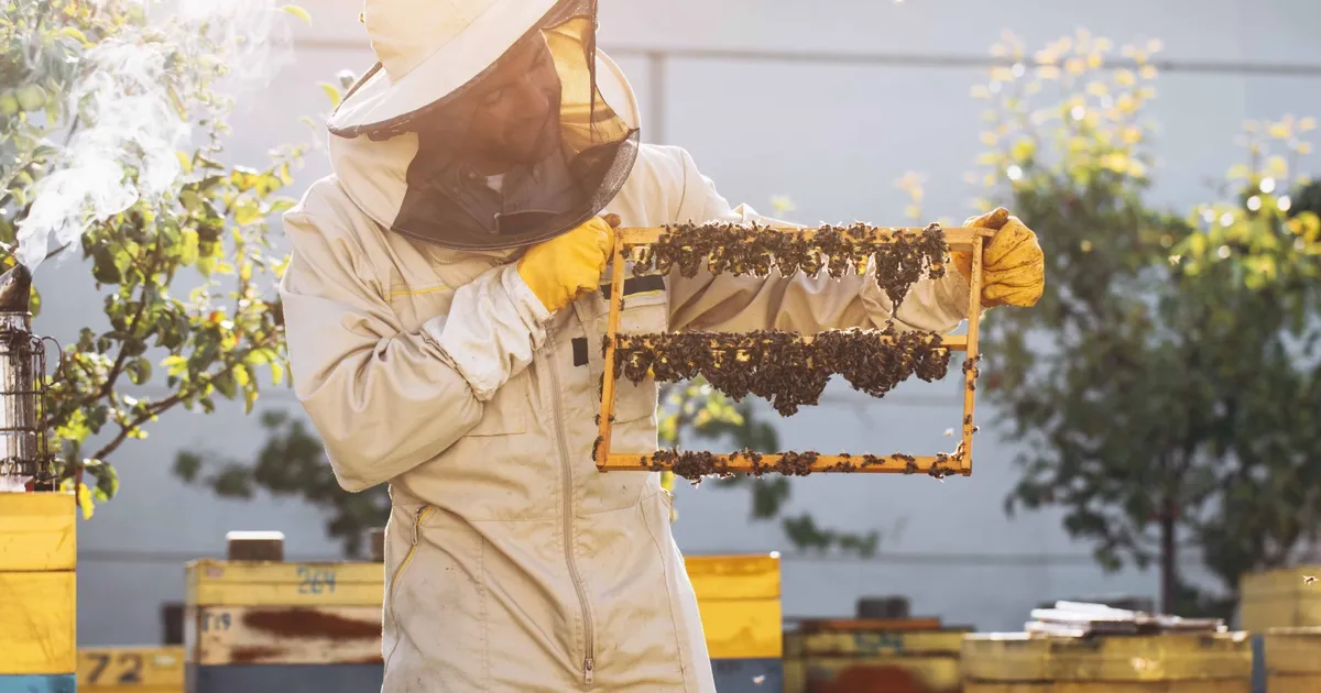 kralice ariyi uzun yasatan ari sutu insanlar icin de saglik kalkani 2rUS2Rpg.webp