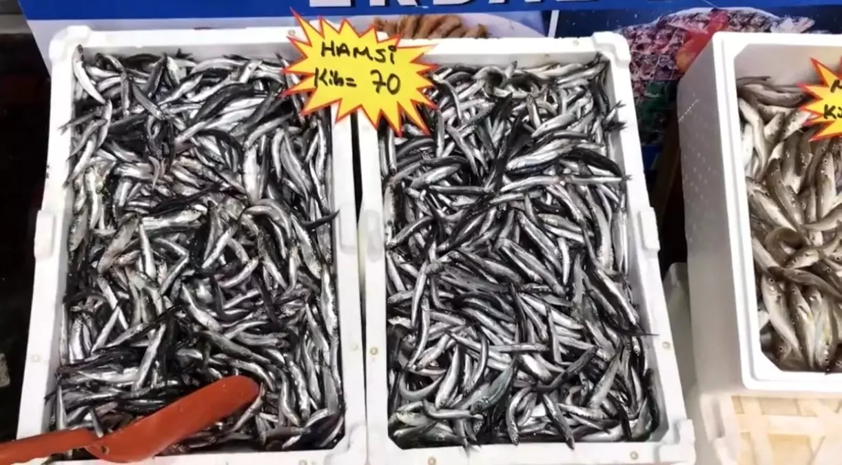 taze balik tuketin uyarisi cbn55egn.jpg