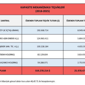 AK Parti, 5 şirkete üretmedikleri elektrik için 559 milyon dolar destek sağladı